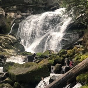 Meet your Posher, Carissa